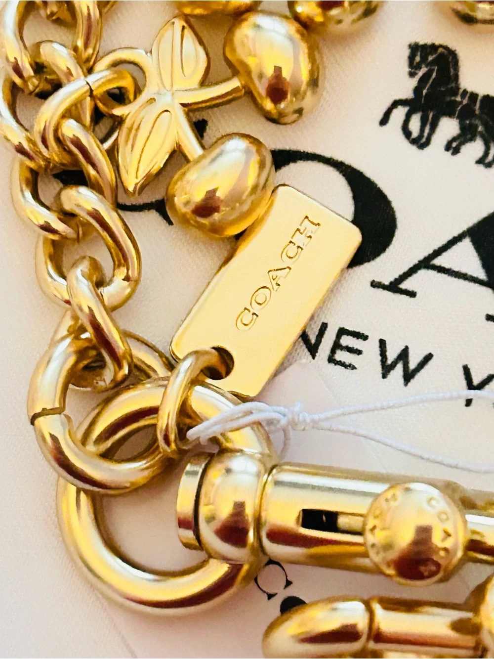 Coach Cherries Swag Bag Charm